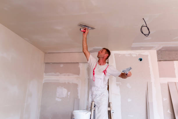 Best Touch-Up Painting  in Hudson, FL